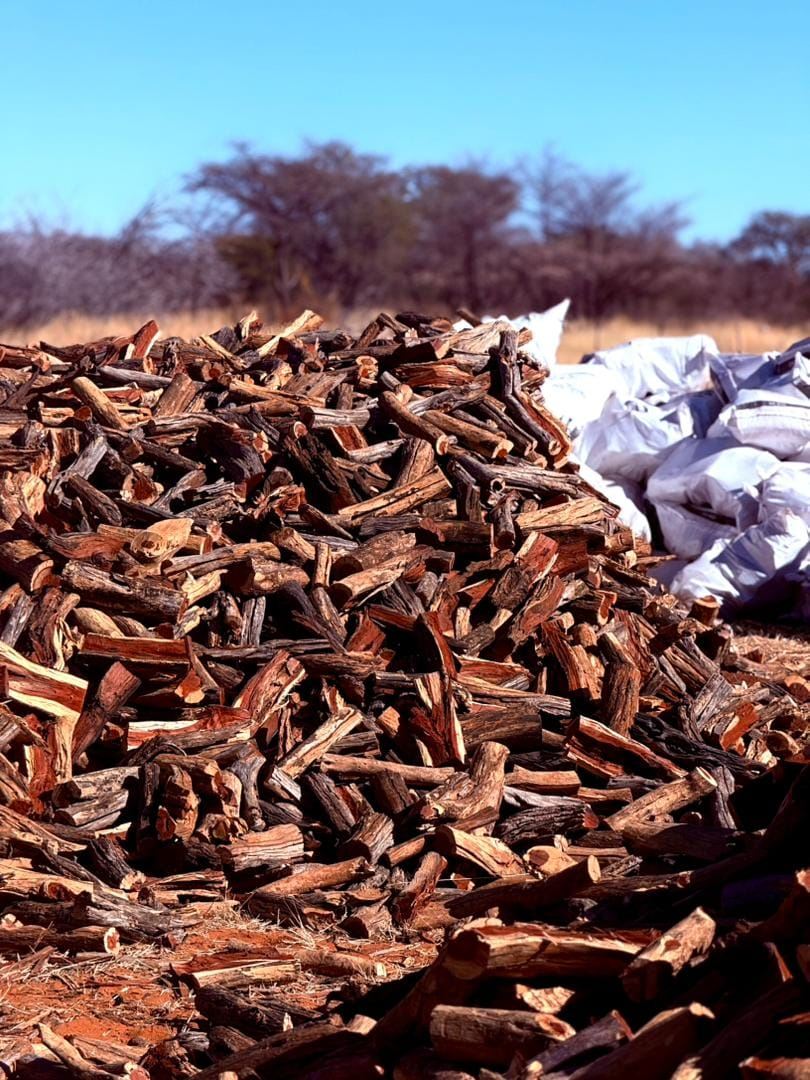 A large pile of freshly cut Namibian hardwood firewood, bagged and ready, out in the bushveld