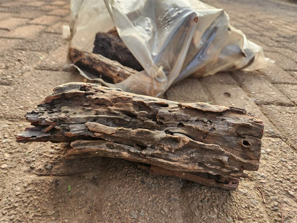 Split Sekelbos firewood logs